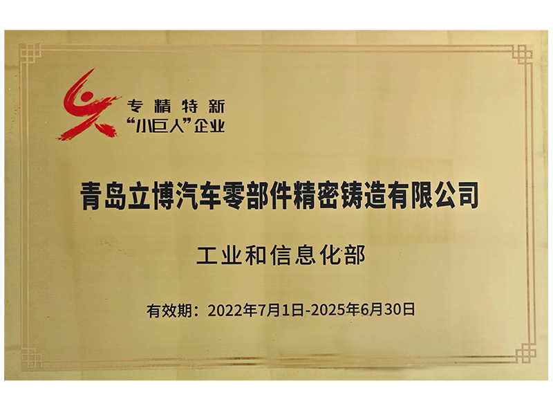 國家級專精特新“小巨人”企業(yè)